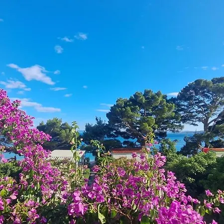 Aurora Beachfront Luxury Rooms&suites Pensionat 4*