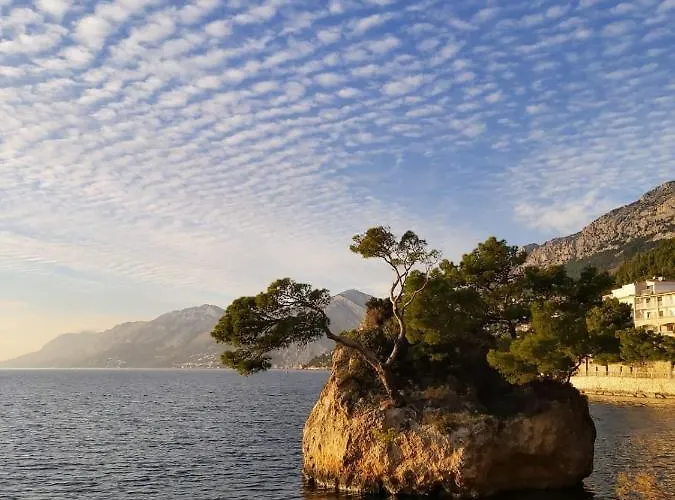 בית הארחה Aurora Beachfront Luxury Rooms&suites ברלה