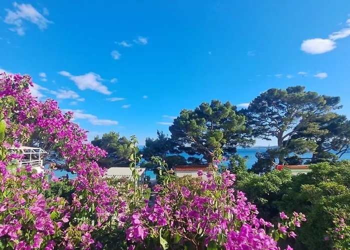 Aurora Beachfront Luxury Rooms&suites Πανσιόν 4*